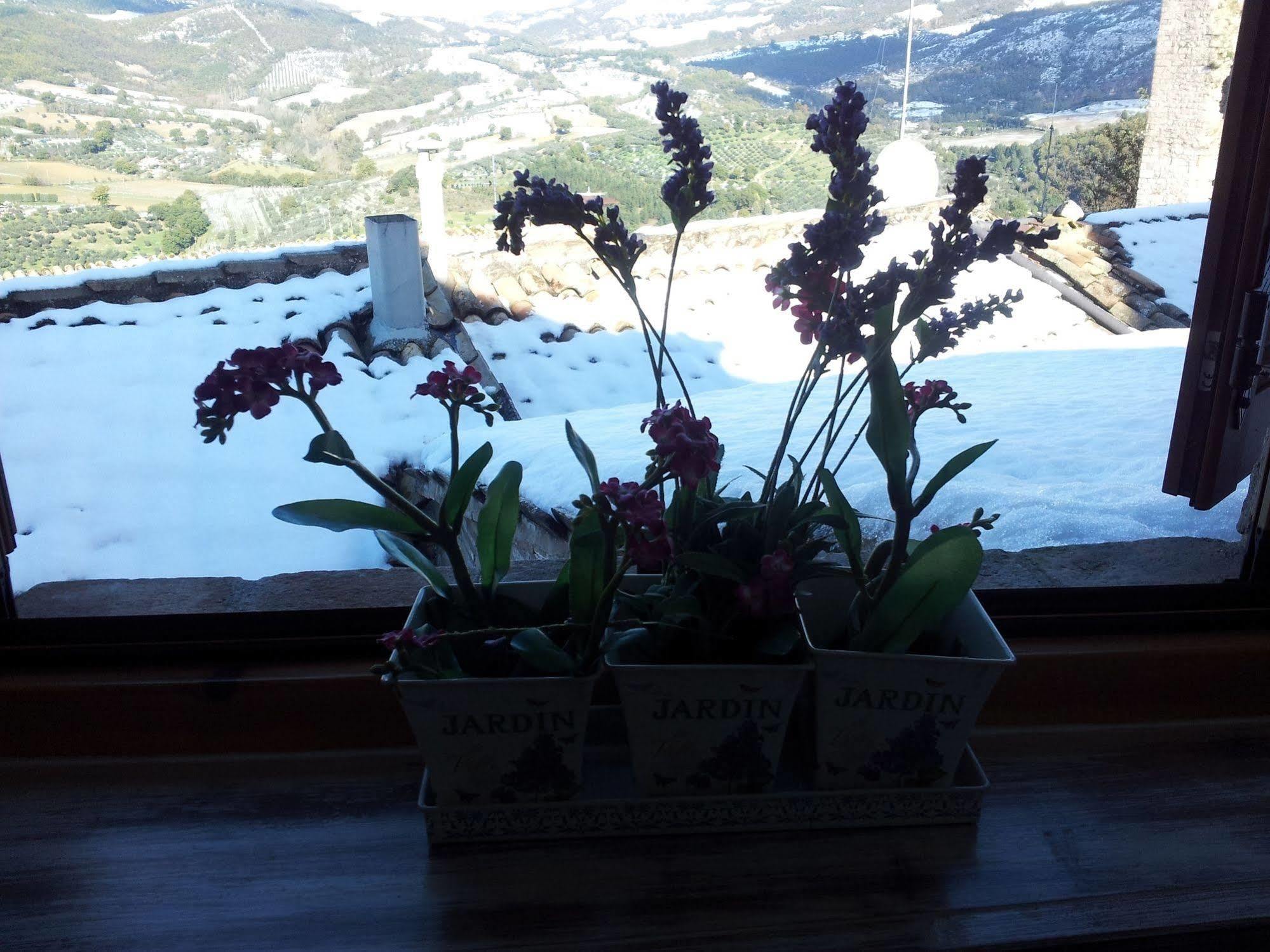 Bed And Breakfast A Casa Delle Fate Асизи Екстериор снимка